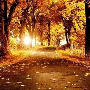 Meet your Posher, Deanna